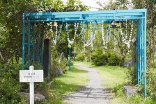 이번 주말 여기 어때?… 자연과 예술 어우러진 보령 개화예술공원