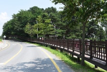 이번 주말 여기어때?…동양 최대 출렁다리가 있는 논산 탑정호 둘레길