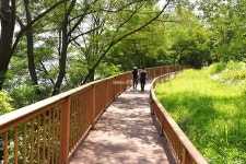 이번 주말 여기어때?…동양 최대 출렁다리가 있는 논산 탑정호 둘레길