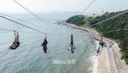 보령해양머드박람회 조직위 짚트랙 할인