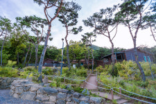 도심 속 초록 자연 쉼터, 천안 태학산·태조산