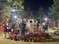 굶주렸던 발걸음, 유성 국화축제 인산인해