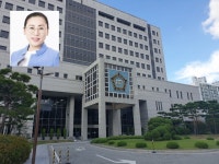 같은 당원 비방한 안선영 중구 의원, 벌금형