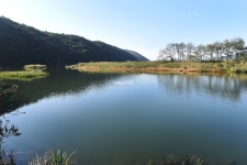 [충남 치유의 길…천주교 순례길7] 순교자 4인 유해 모시던 길