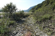 [충남 치유의 길…천주교 순례길7] 순교자 4인 유해 모시던 길