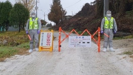 충북 음성 농장 2곳 고병원성 AI 확인…85만 마리 살처분