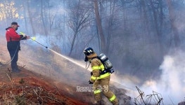당진시 송산면 명산리 산불 원인 담배꽁초 추정
