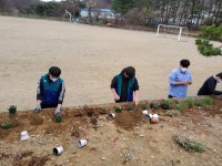 금산 복수중학교, 전교생 RCY 활동으로 지속가능한 생태환경 조성