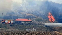 서산 운산 발생 산불, 당진 면천으로 번져
