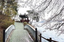 [충남의 아름다운 둘레길] '느림의 여유' 예산의 봄