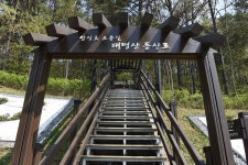 [충남의 아름다운 둘레길] 낭만 가득 탑정호로 소풍을