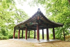 [충남의 아름다운 둘레길] 금강 성곽을 따라 걷다