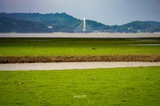 [포토뉴스] 골프장? 가뭄이 만든 예당호 풍경