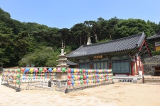 [충남의 아름다운 둘레길] 사랑나무 따라 연인과 걷기 좋은 길