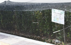 찜통더위, 아스팔트도 이글이글