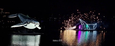 호수에 고래가 나타났다! 세종축제, 첫날부터 인산인해