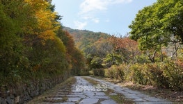 [충남의 아름다운 둘레길] 권력을 뒤로하고 고즈넉함을 걷다
