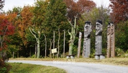 [충남의 아름다운 둘레길] 권력을 뒤로하고 고즈넉함을 걷다