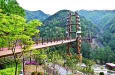 충북도 산림휴양 녹색공간조성 우수지자체 표창
