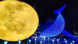 보령시, 조형물과 야간경관조명 설치 호응