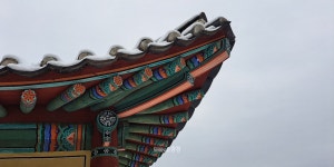 [세종의 명소] 겨울에 가면 더 아름다운 전의면