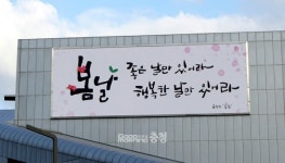 [포토] 충남도청사에 찾아온 봄날