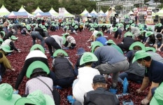 [즐겨U 충청] 수려한 자연에 유기농을 품은 미래의 고장 괴산