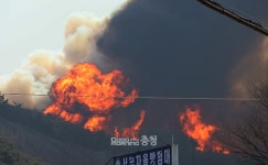 충남 홍성 산불 진화율 66%…김태흠 지사 큰불 잡아야