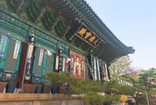 [세종의 명소] 장군면에서 가볼만한 곳은...