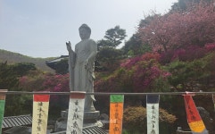 [세종의 명소] 장군면에서 가볼만한 곳은...