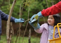 서울시민이 괴산에서 장 담그고 두릅따고~