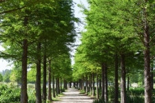 [특별기획] 태안, 맘껏 힐링하고 싶을 때 오는 곳