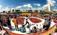 청양고추·구기자 축제→청양고추·구기자 문화축제로 명칭 변경