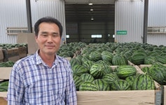 12브릭스 청원생명수박 맛찬동이를 지켜주세요