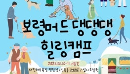 대천해수욕장서 보령머드 댕댕댕 힐링캠프 열린다
