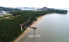 가족과 함께 서천에서 여름 휴가 보내볼까?