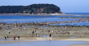 보령 무창포 신비의 바닷길 축제 9월 1일 개막