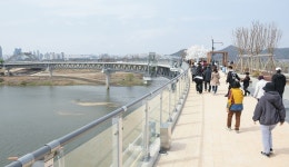 [세종 가볼만한 곳] 반려견과 함께 가도 눈치 볼 일 없는...