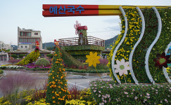 국화·국수·국밥의 컬래버…미리 가본 예산장터 삼국축제