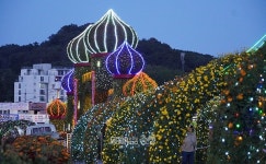국화·국수·국밥의 컬래버…미리 가본 예산장터 삼국축제