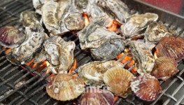 보령 천북 굴축제 12월 2일부터 3일까지