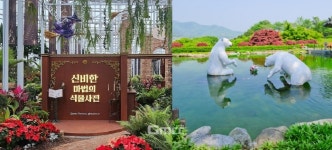 여행가는 달에는 세종서 관광하고 호텔 할인도 받아요