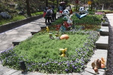 [포토뉴스] 봄으로 가득 채워진 아산 영인산 나들이