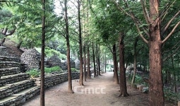 녹색힐링 충주, 개인정원 숨은 매력 발굴