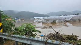 [르포] 제방 무너지는 소리가 들리더니 온통 물바다로...대전 용촌동 마을 침수