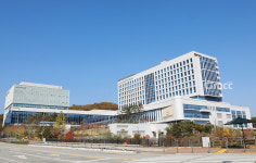 세종에서 '뇌졸중 잘 고치는 병원'은?