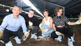 금산세계인삼축제 판타스틱…외국인 7200명 찾아