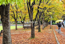 가을비 속 출근길…비 온 뒤엔 기온 뚝