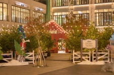 현대프리미엄아울렛 대전점, 중부권 최대 크리스마스 트리팜 선보인다