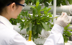 한화엘앤씨(주)부강2공장 | 세종 첫 스마트팜 식물공장, 부강면에 들어선다